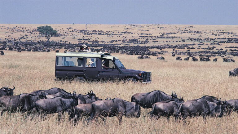 Maasai-Mara-National-Reserve