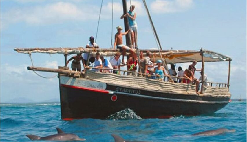 Dolphin-Watching-at-Wasini-island-1024×632